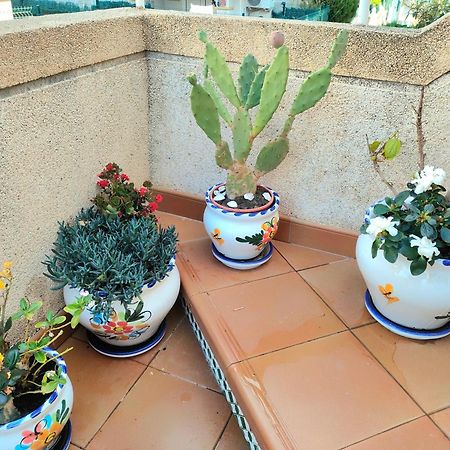 Casa De Buenos Dias Torrevieja Exterior foto