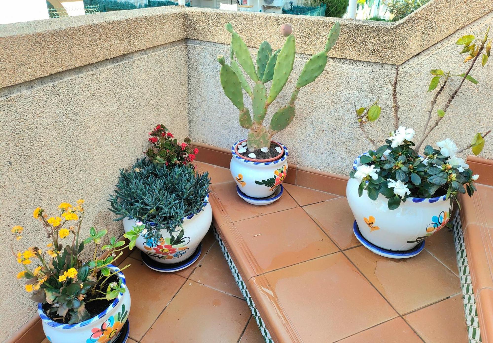 Casa De Buenos Dias Torrevieja Exterior foto